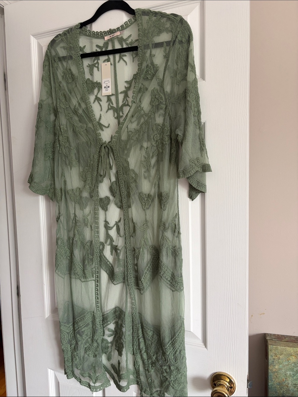 Francesca's Collections Sheer Olive Green Embroidered Lace Kimono